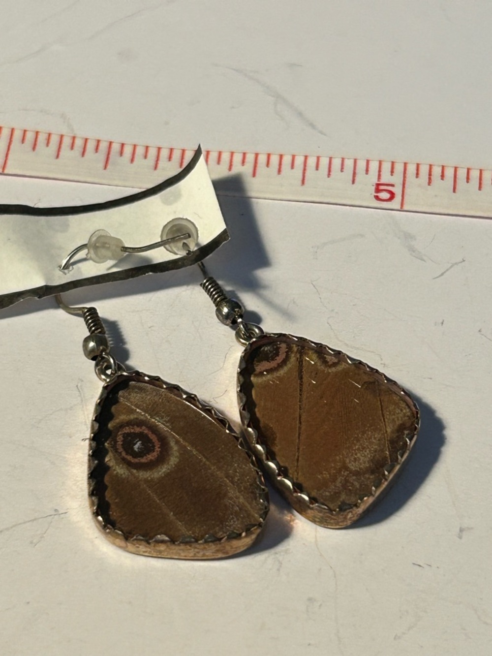 Real Butterfly Wing Earrings Blue Brown